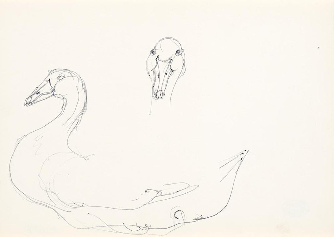 Georg Ehrlich, Entenstudie, um 1959, Kugelschreiber, 14,8 × 20,9 cm, Belvedere, Wien, Inv.-Nr. …