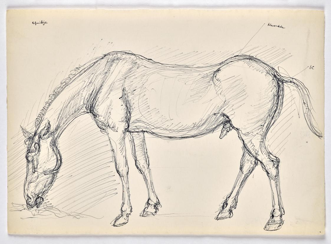 Georg Ehrlich, Grasendes Pferd, um 1960, Kugelschreiber auf Papier, Blattmaße: 21 × 29,5 cm, Be…