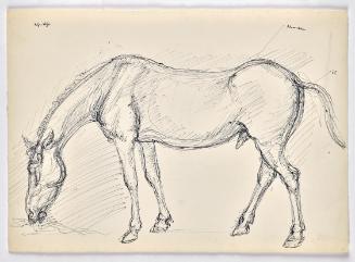 Georg Ehrlich, Grasendes Pferd, um 1960, Kugelschreiber auf Papier, Blattmaße: 21 × 29,5 cm, Be ...