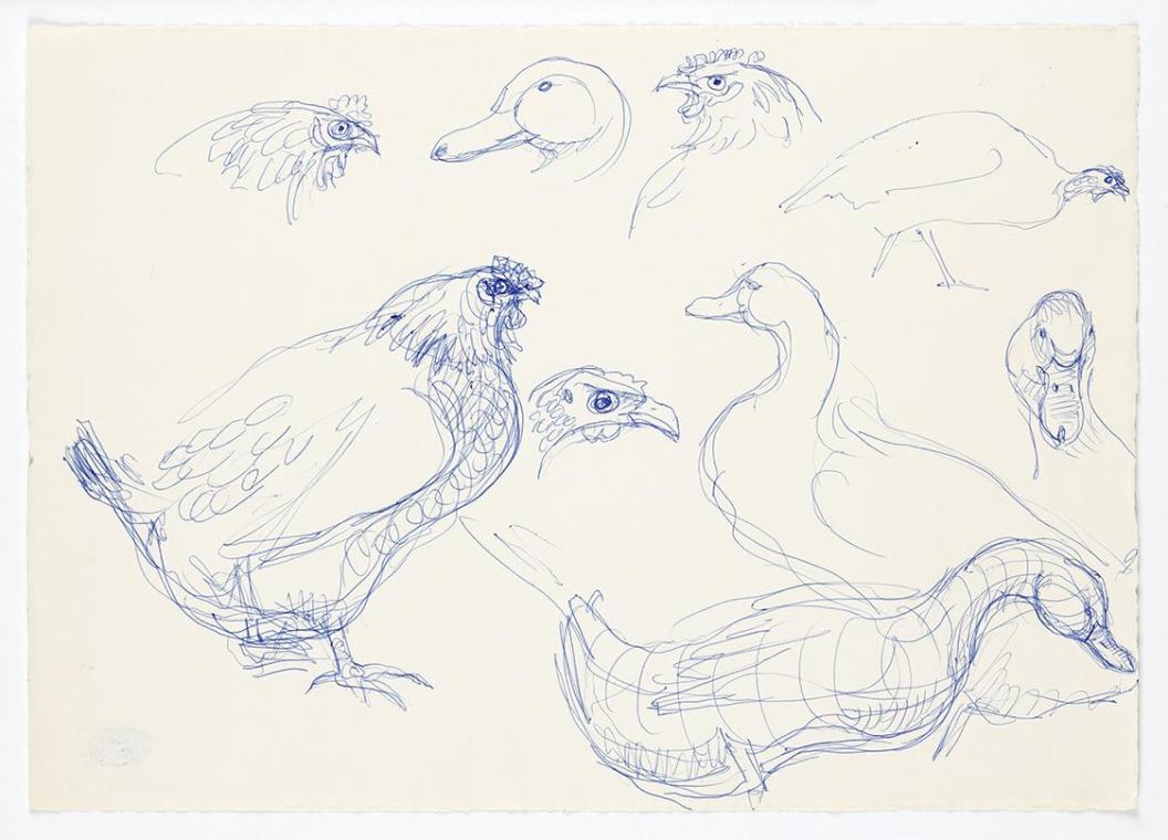 Georg Ehrlich, Geflügelstudien, um 1959, Kugelschreiber, 21 × 29,7 cm, Belvedere, Wien, Inv.-Nr…