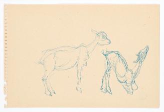 Georg Ehrlich, Zwei Zicklein, Kugelschreiber, 15,2 × 22,8 cm, Belvedere, Wien, Inv.-Nr. 10265/1…