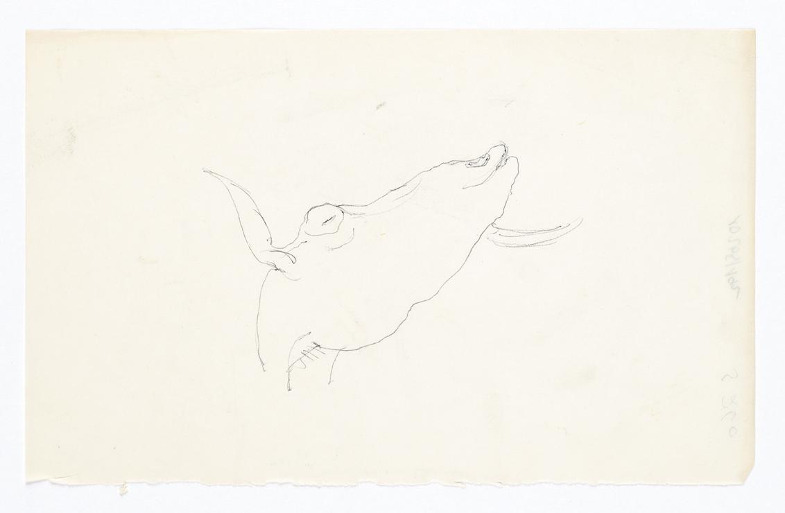 Georg Ehrlich, Ziegenkopf, Kugelschreiber auf Transparentpapier, 20,2 × 12,5 cm, Belvedere, Wie…