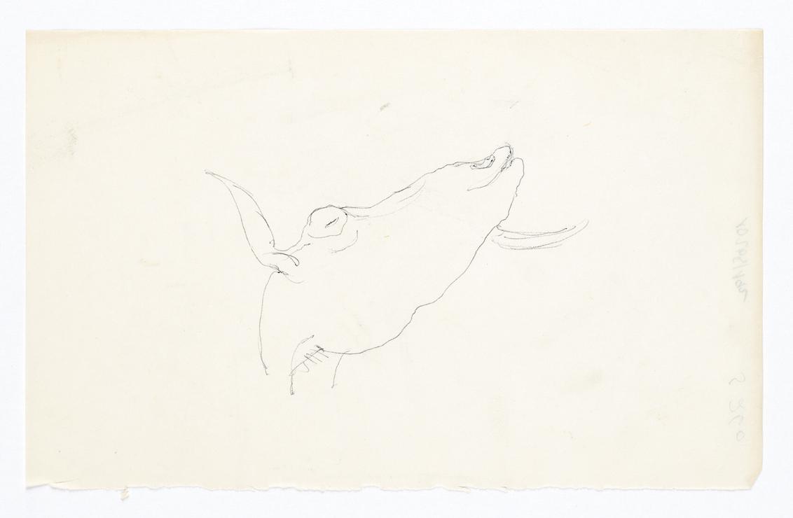 Georg Ehrlich, Ziegenkopf, Kugelschreiber auf Transparentpapier, 20,2 × 12,5 cm, Belvedere, Wie…