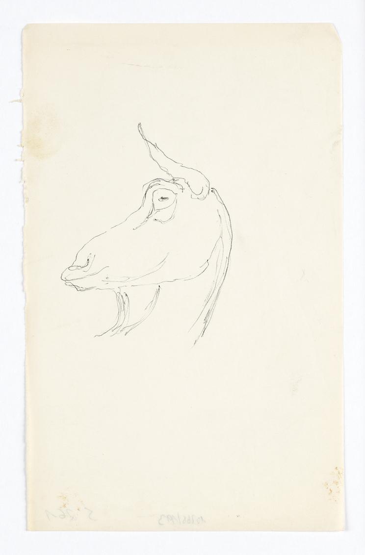 Georg Ehrlich, Ziegenkopf, Kugelschreiber auf Transparentpapier, 20,2 × 12,5 cm, Belvedere, Wie…