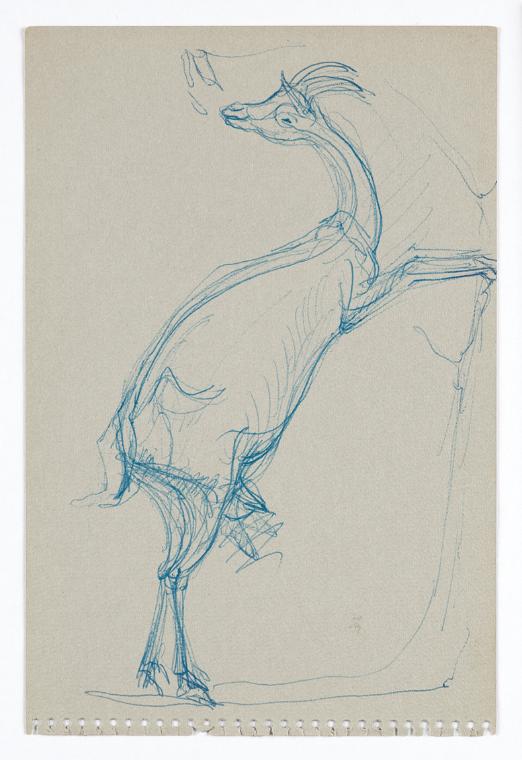 Georg Ehrlich, Knabbernde Ziege, Kugelschreiber, 22,8 × 15,2 cm, Belvedere, Wien, Inv.-Nr. 1026…