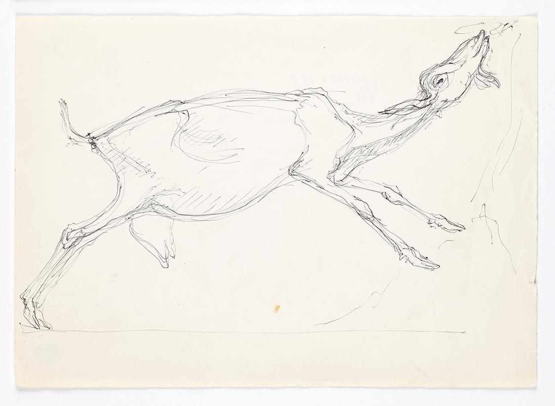 Georg Ehrlich, Knabbernde Ziege, Kugelschreiber, 21 × 29,6 cm, Belvedere, Wien, Inv.-Nr. 10265/…