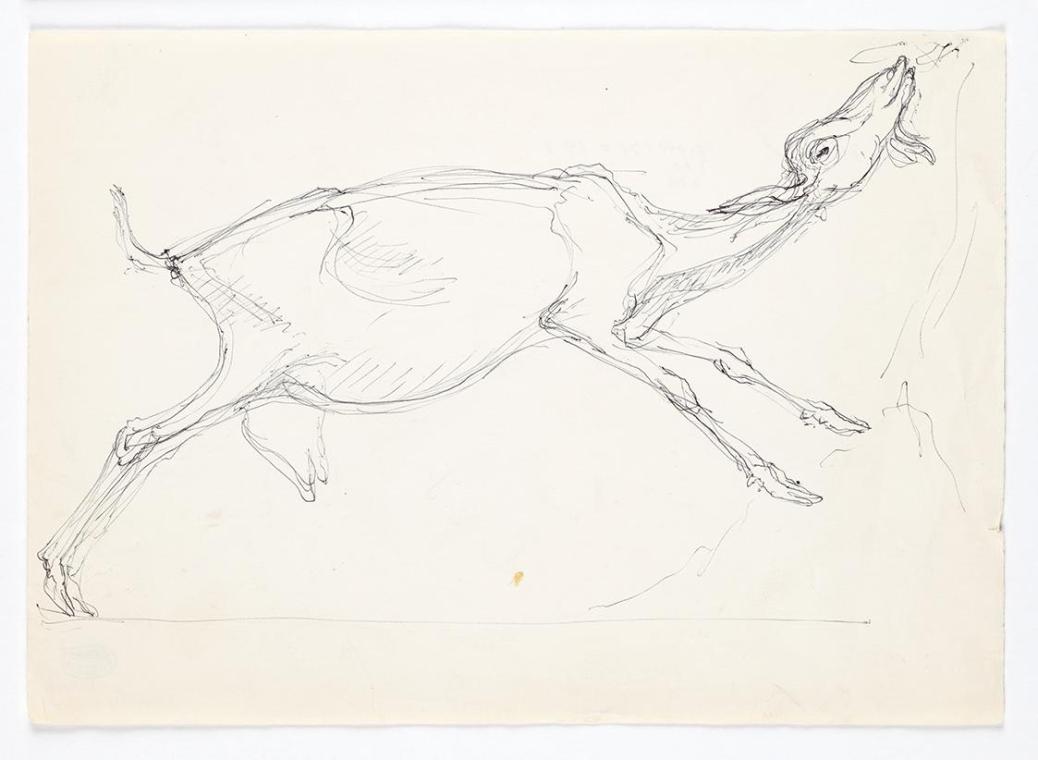 Georg Ehrlich, Knabbernde Ziege, Kugelschreiber, 21 × 29,6 cm, Belvedere, Wien, Inv.-Nr. 10265/…