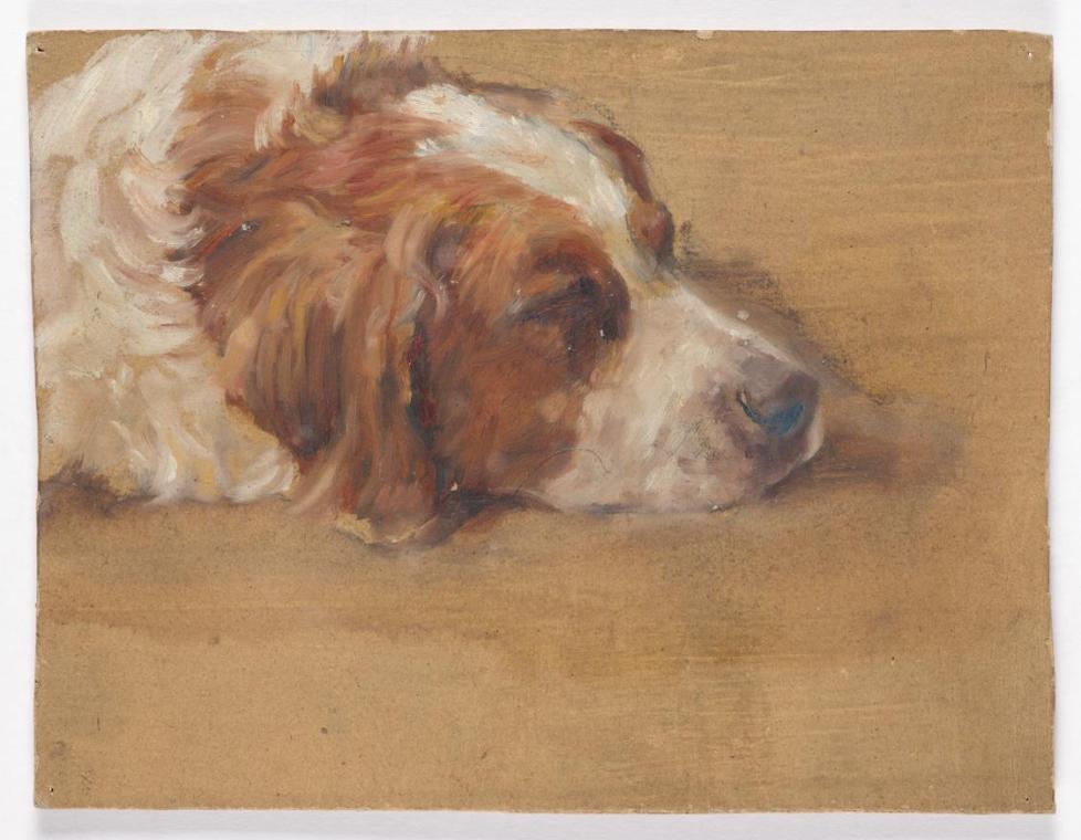 Walther Gamerith, Hundekopf (Studie), vor 1949, Öl auf Karton, 18 × 23 cm, Belvedere, Wien, Inv ...