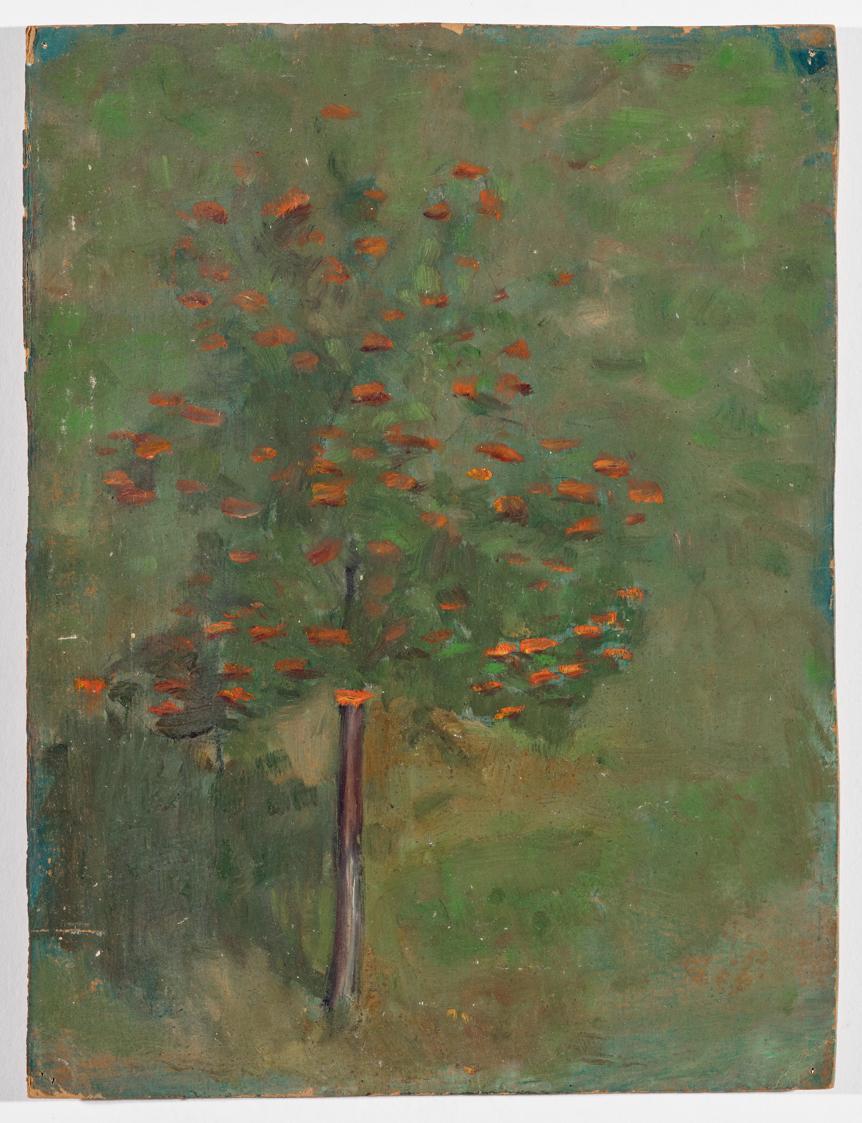 Walther Gamerith, Obstbaum, 1920, Öl auf Karton, 24 × 18,5 cm, Belvedere, Wien, Inv.-Nr. 9051/1 ...