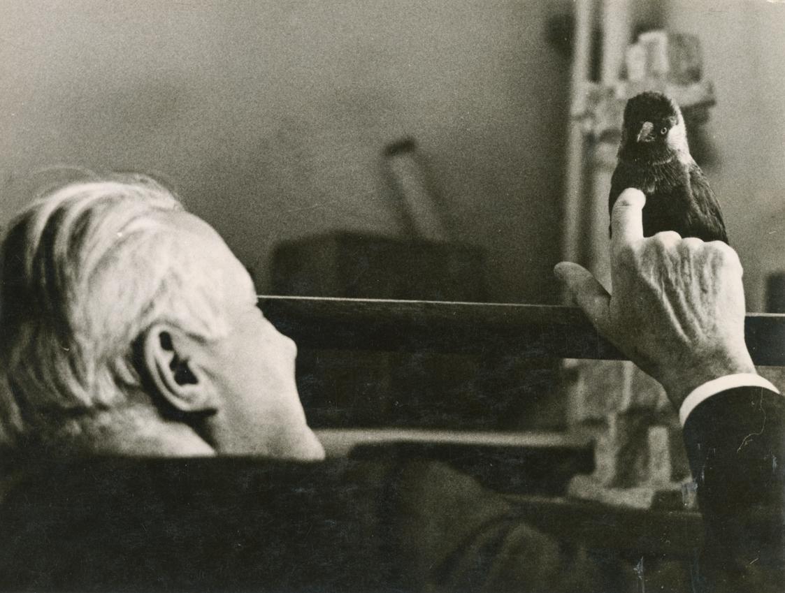 Fritz Wotruba, Fritz Wotruba mit seiner Dohle Hansi in seinem Atelier in der Böcklinstraße in W…
