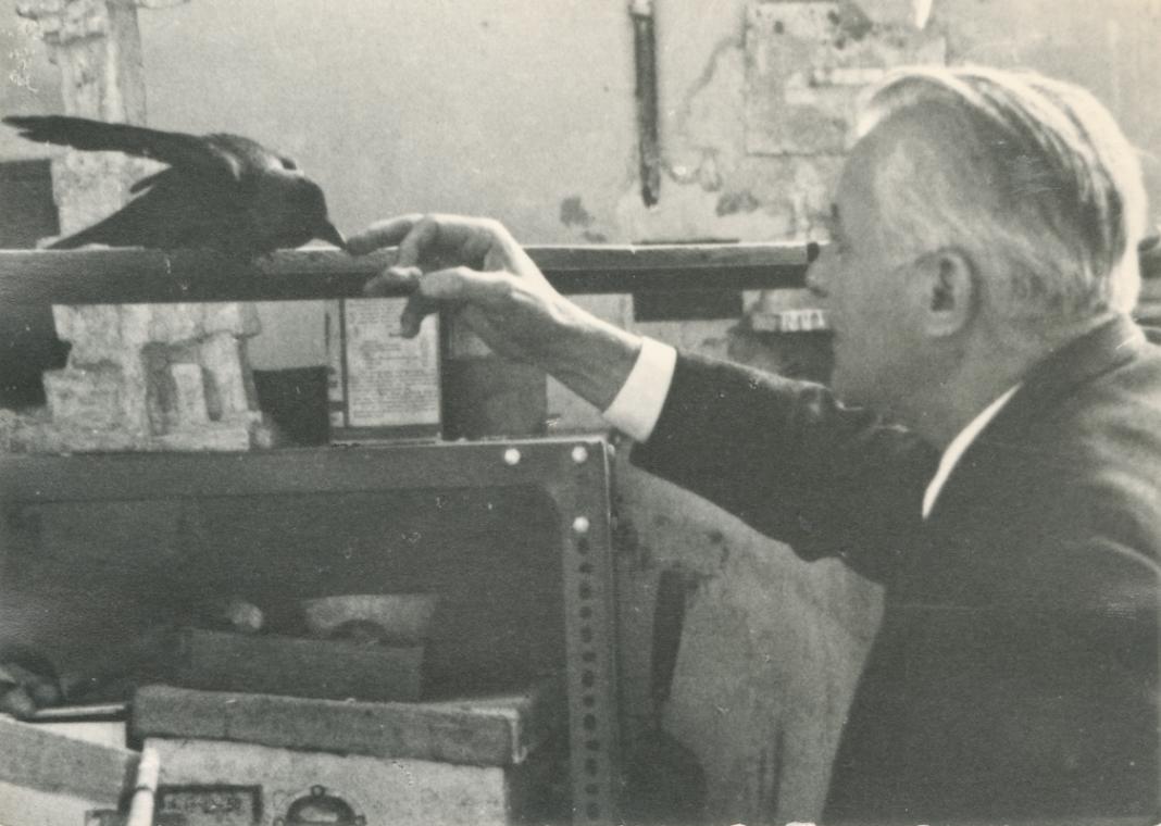 Fritz Wotruba, Fritz Wotruba mit seiner Dohle Hansi in seinem  Atelier in der Böcklinstraße in …