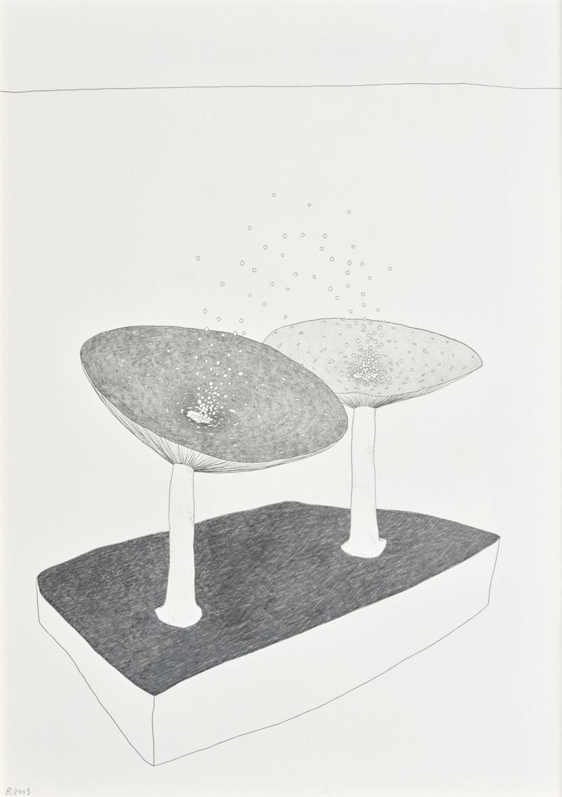 Werner Reiterer, Ohne Titel, 2003, Bleistift auf Papier, 70 × 50 cm, Belvedere, Wien, Inv.-Nr. …