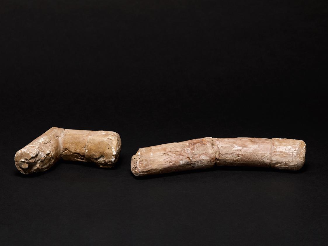 Fritz Wotruba, Zwei Armstücke zu Stehender Figur, 1956, Gipsguss nach Tonmodell, 1. Teil: 33 cm…