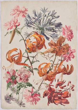 Leopold von Stoll, Türkenbundlilien, 1840/1850, Aquarell auf Papier, 54,5 × 38 cm, Belvedere, W…
