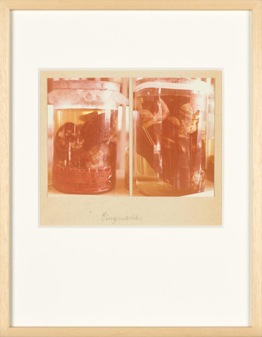 Birgit Jürgenssen, Wörterbuch der Gemeinplätze (Flaubert), 1975–1978, 2 Farbfotografien (Vintag…