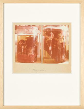 Birgit Jürgenssen, Wörterbuch der Gemeinplätze (Flaubert), 1975–1978, 2 Farbfotografien (Vintag…