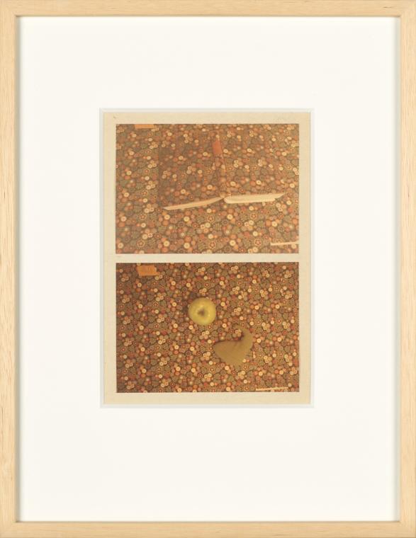 Birgit Jürgenssen, Wörterbuch der Gemeinplätze (Flaubert), 1975–1978, 2 Farbfotografien (Vintag…