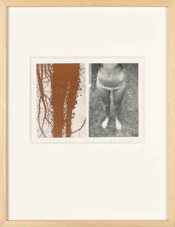 Birgit Jürgenssen, Wörterbuch der Gemeinplätze (Flaubert), 1975–1978, 2 S/W-Fotografien (Vintag…