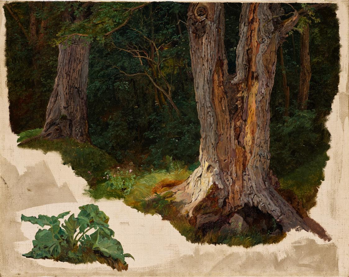 Ferdinand Georg Waldmüller, Baumstudie, vor 1848, Öl auf Leinwand, 31,5 x 40 cm, Belvedere, Wie…