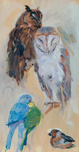 Carl Fahringer, Tierstudie aus Schönbrunn, Deckfarben auf Papier, 54,5 x 29,5 cm, Belvedere, Wi…