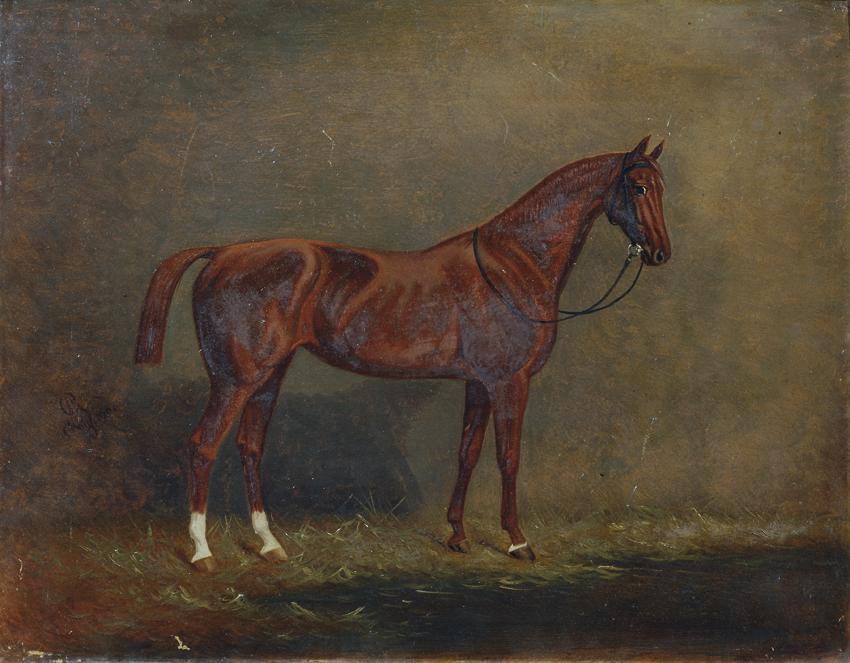 Monogrammist A. G., Porträt eines Reitpferdes, 1900, Öl auf Karton, 43 x 55 cm, Belvedere, Wien…