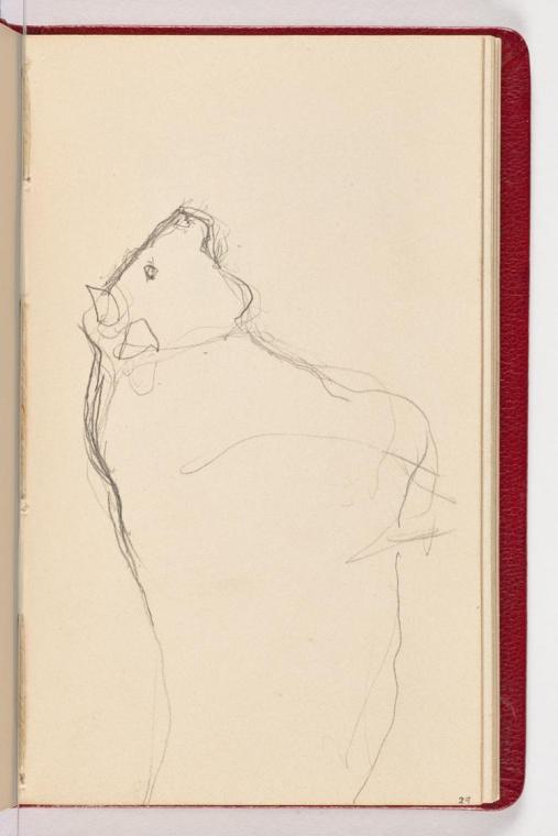 Zeichnung eines Stiers