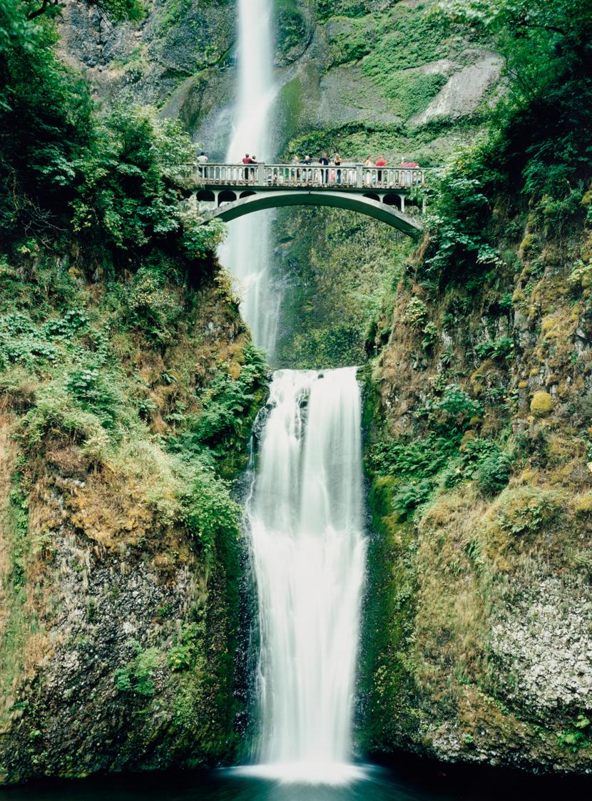 Multnormah Falls, The Last Time I Saw You
