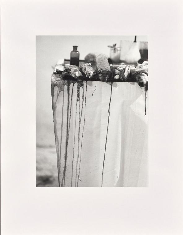 Rudolf Schwarzkogler, 1. Aktion, 1965, Fotografie, 40,1 × 29,7 cm, Belvedere, Wien, Inv.-Nr. 88 ...