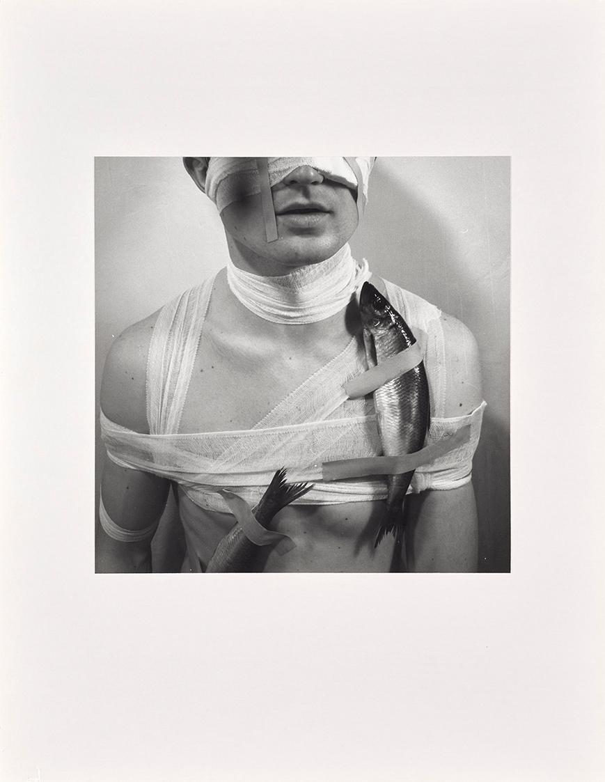 Rudolf Schwarzkogler, 2. Aktion, 1965, Fotografie, 39,9 × 34 cm, Belvedere, Wien, Inv.-Nr. 8877…