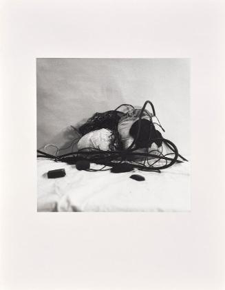 Rudolf Schwarzkogler, 4. Aktion, 1965, Fotografie, 33,9 × 33,9 cm, Belvedere, Wien, Inv.-Nr. 88…