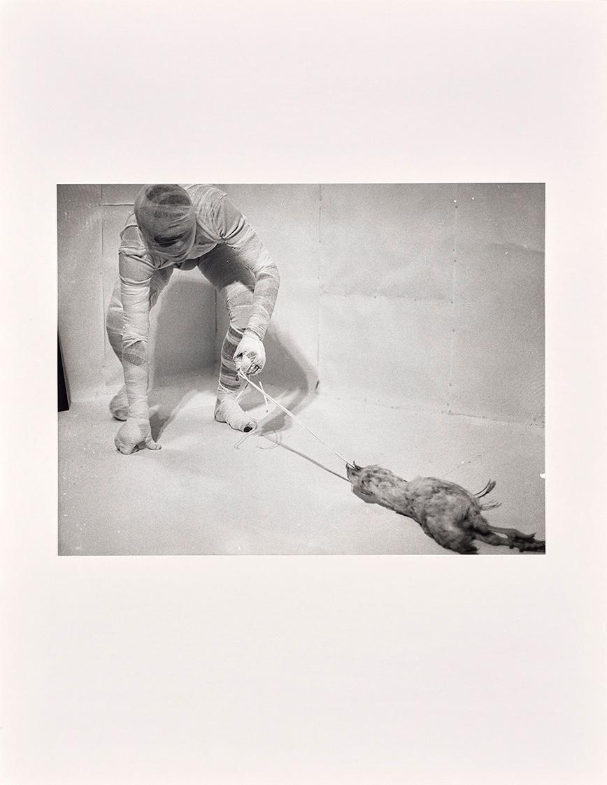 Rudolf Schwarzkogler, 6. Aktion, 1966, Fotografie, 30,2 × 39,7 cm, Belvedere, Wien, Inv.-Nr. 88…