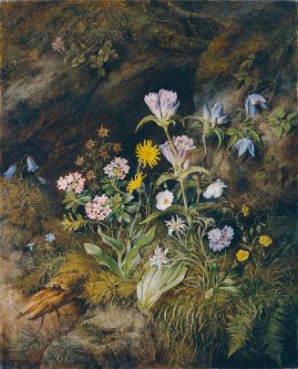Theodor Josef Petter, Alpine Flora, 1853, Öl auf Leinwand, 89 x 72 cm, Belvedere, Wien, Inv.-Nr…
