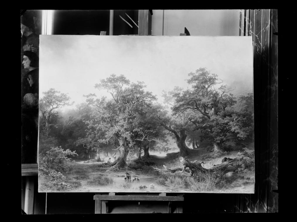 Josef Löwy – k. u. k. Hof-Photograph, Kunst- und Verlags-Anstalt, Waldlandschaft, 1888–1891, Or…