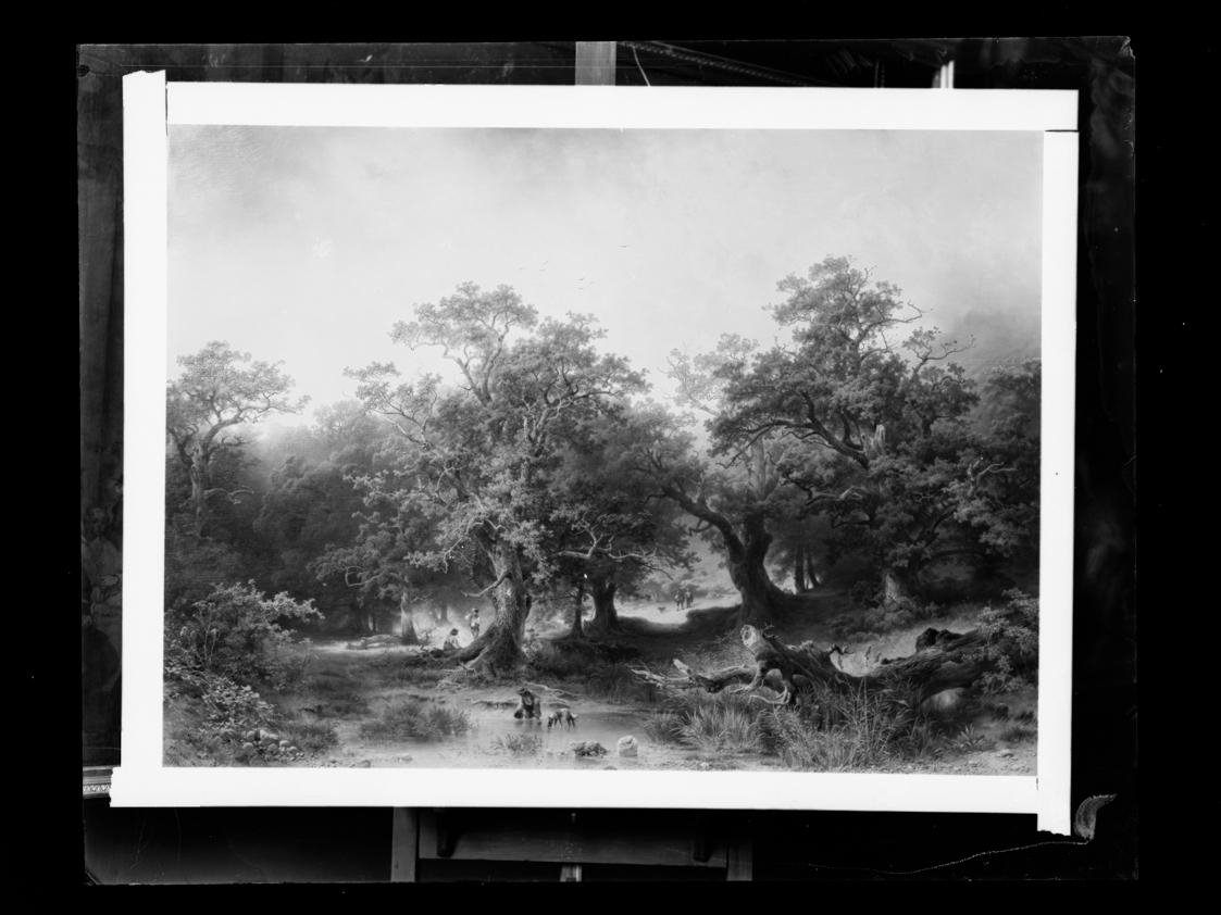 Josef Löwy – k. u. k. Hof-Photograph, Kunst- und Verlags-Anstalt, Waldlandschaft, 1888–1891, Or…