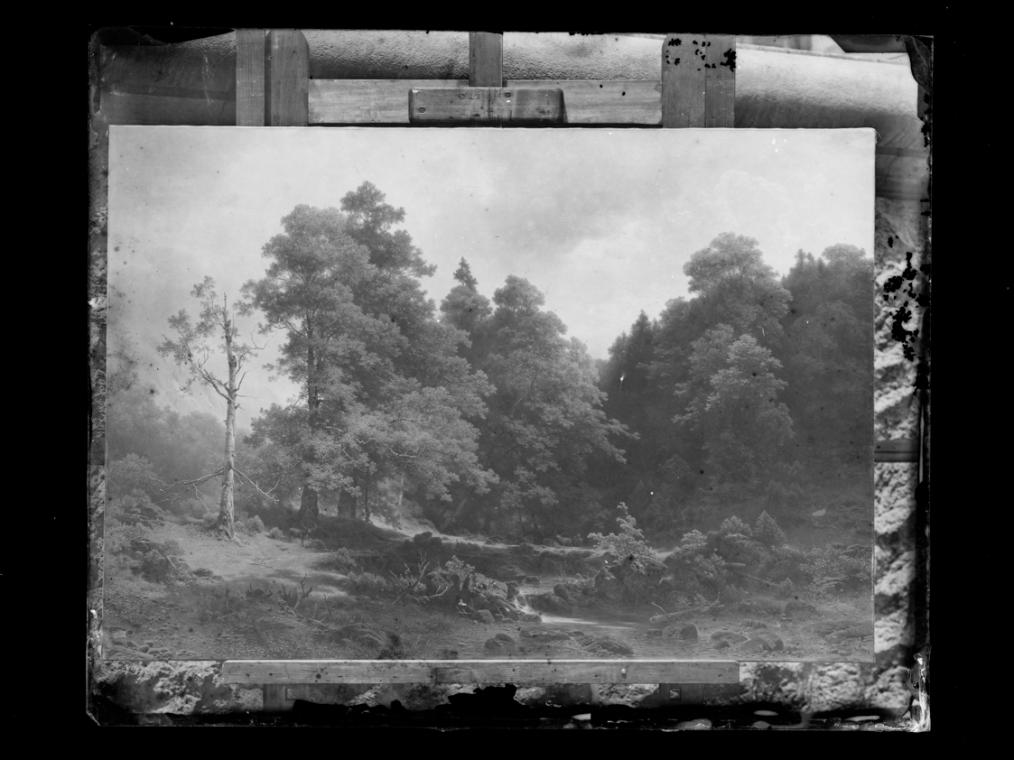Josef Löwy – k. u. k. Hof-Photograph, Kunst- und Verlags-Anstalt, Der stille Waldwinkel, 1888–1…