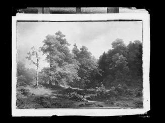 Josef Löwy – k. u. k. Hof-Photograph, Kunst- und Verlags-Anstalt, Der stille Waldwinkel, 1888–1…