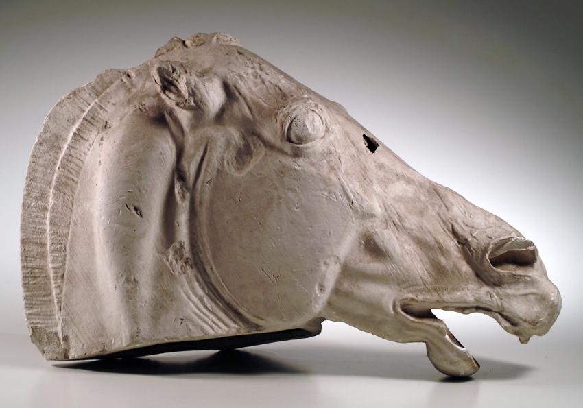 Fragment eines Pferdekopfes vom Parthenonfries (Abguss)