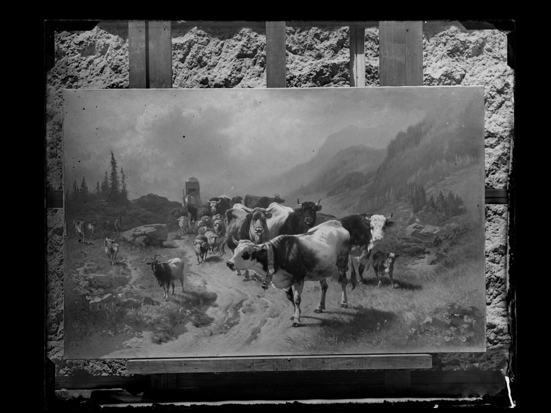 Josef Löwy – k. u. k. Hof-Photograph, Kunst- und Verlags-Anstalt, Viehabtrieb, 1888–1891, Ortho…