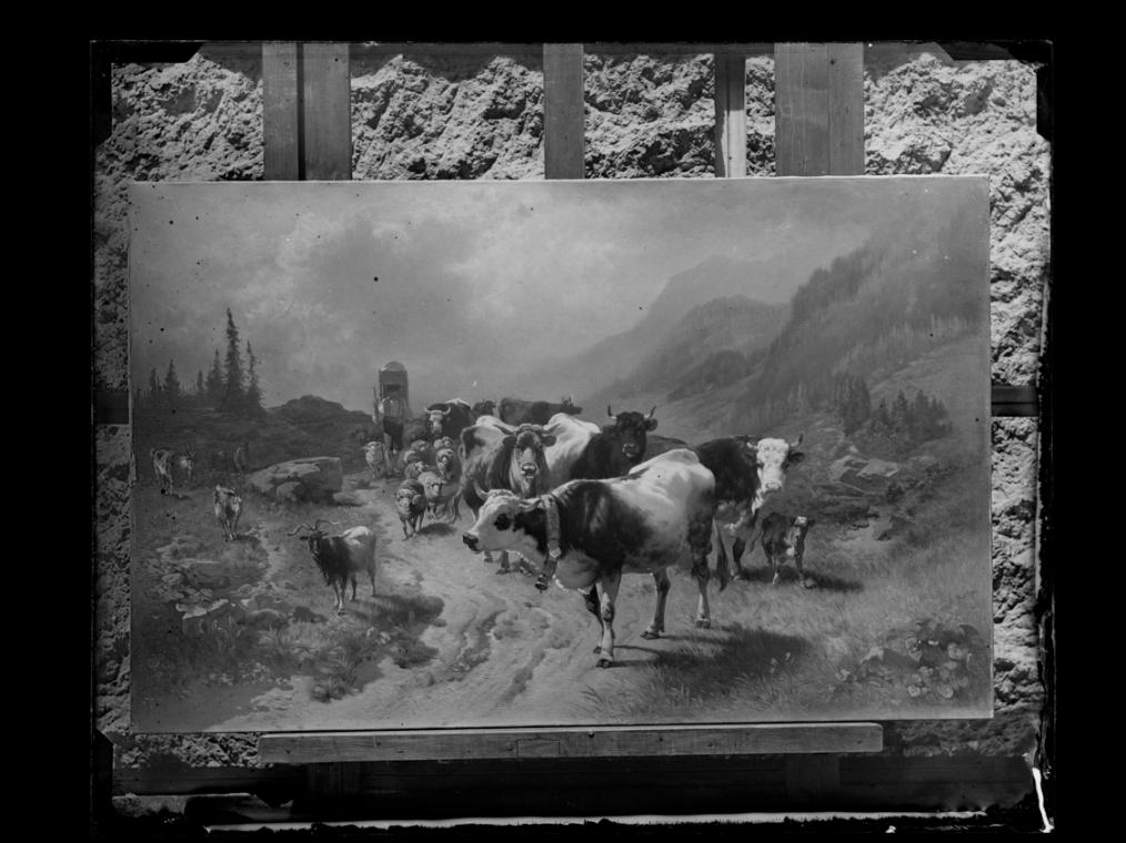 Josef Löwy – k. u. k. Hof-Photograph, Kunst- und Verlags-Anstalt, Viehabtrieb, 1888–1891, Ortho…