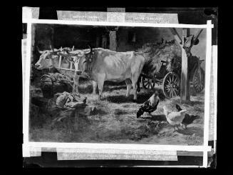 Josef Löwy – k. u. k. Hof-Photograph, Kunst- und Verlags-Anstalt, Ochsen im Stall, 1888–1891, O…