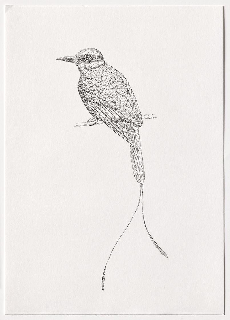 Jasmina Cibic, Dawn Chorus - Pakistan, 2024, Bleistift, Farbstift, Tinte, Aquarell auf Papier, …