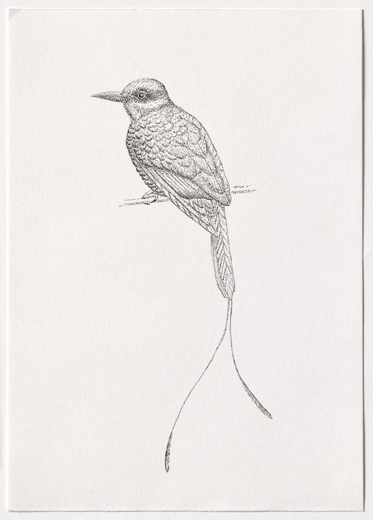 Jasmina Cibic, Dawn Chorus - Pakistan, 2024, Bleistift, Farbstift, Tinte, Aquarell auf Papier, …