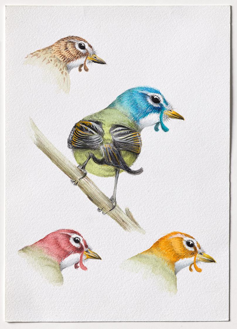 Jasmina Cibic, Dawn Chorus - India, 2024, Bleistift, Farbstift, Tinte, Aquarell auf Papier, Bla…