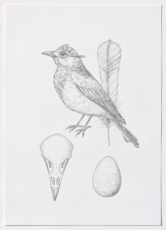 Jasmina Cibic, Dawn Chorus - Afghanistan, 2024, Bleistift, Farbstift, Tinte, Aquarell auf Papie…