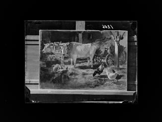 Josef Löwy – k. u. k. Hof-Photograph, Kunst- und Verlags-Anstalt, Ochsen im Stall, 1888–1891, O…