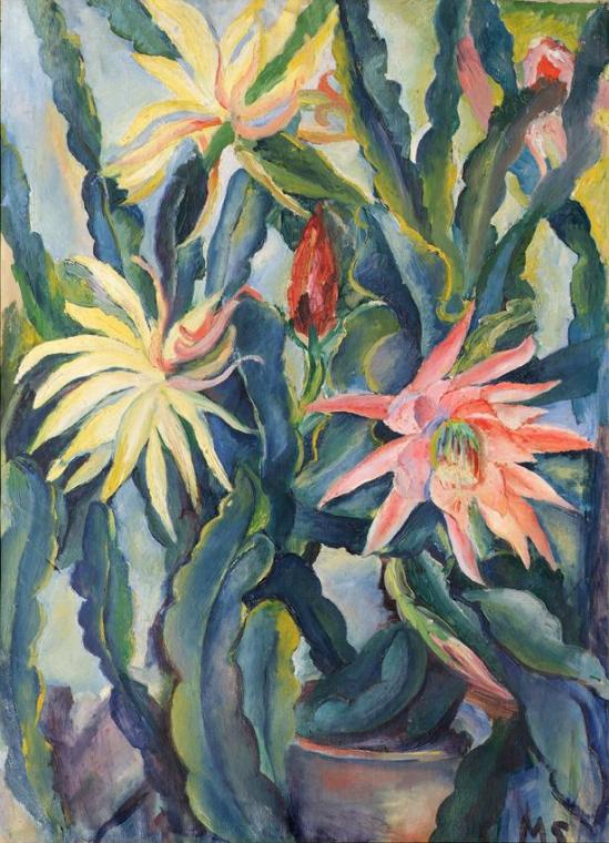 Marianne Seeland, Blühende Kakteen, Öl auf Leinwand, 77 x 56,5 cm, Belvedere, Wien, Inv.-Nr. 39…