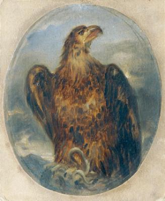 Joseph Hasslwander, Adler, Öl auf Papier auf Karton, hochoval: 25,6 × 20,8 cm, Belvedere, Wien,…