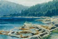 Ferdinand Engelmüller, Böhmerwald (aus der Mappe „16 Ansichten tschechischer Landschaften 'Česk…
