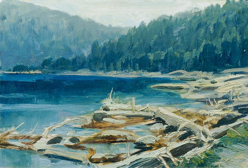 Ferdinand Engelmüller, Böhmerwald (aus der Mappe „16 Ansichten tschechischer Landschaften 'Česk…