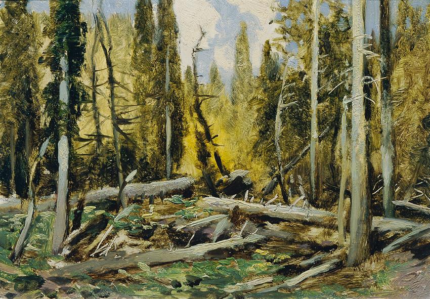 Ferdinand Engelmüller, Böhmerwald (aus der Mappe „16 Ansichten tschechischer Landschaften 'Česk…